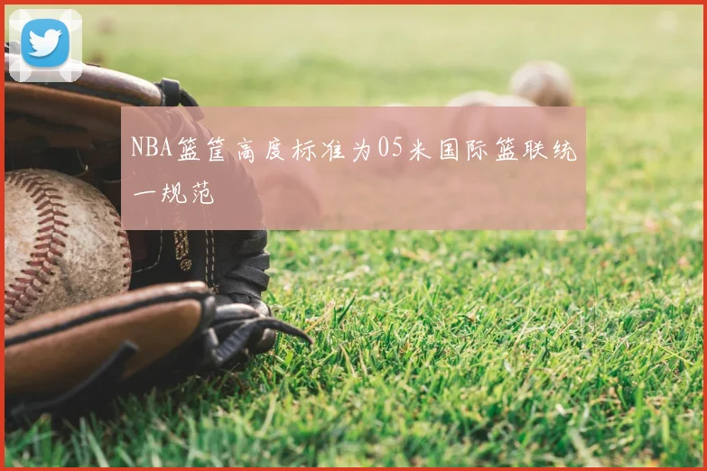 NBA篮筐高度标准为05米国际篮联统一规范