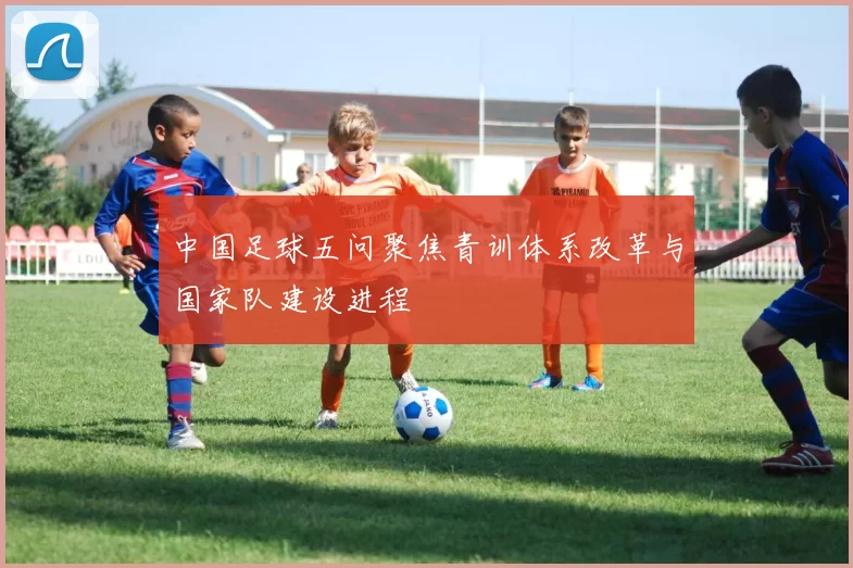 中国足球五问聚焦青训体系改革与国家队建设进程