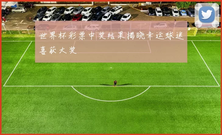 世界杯彩票中奖结果揭晓幸运球迷喜获大奖