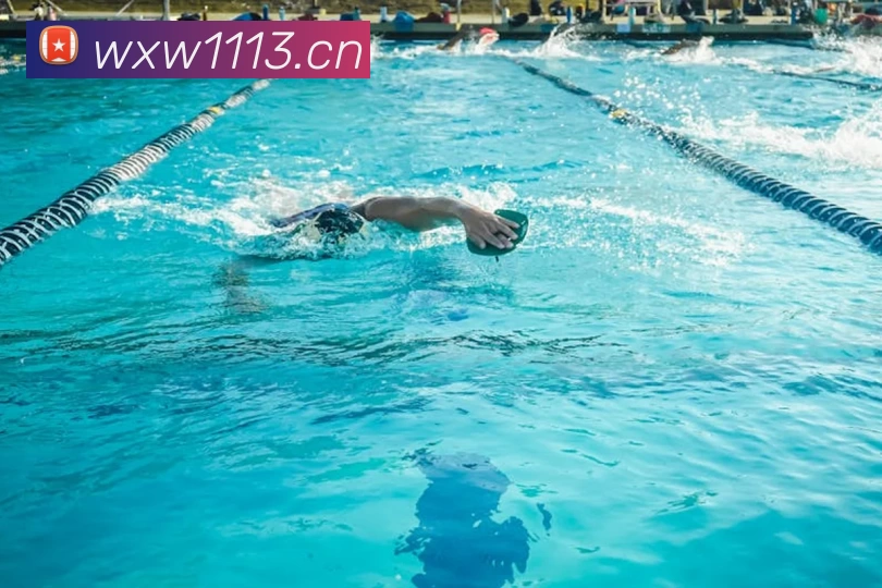 B体育直播·(B - sports)官方网站全站App B体育直播·(B - sports)官方网站全站App