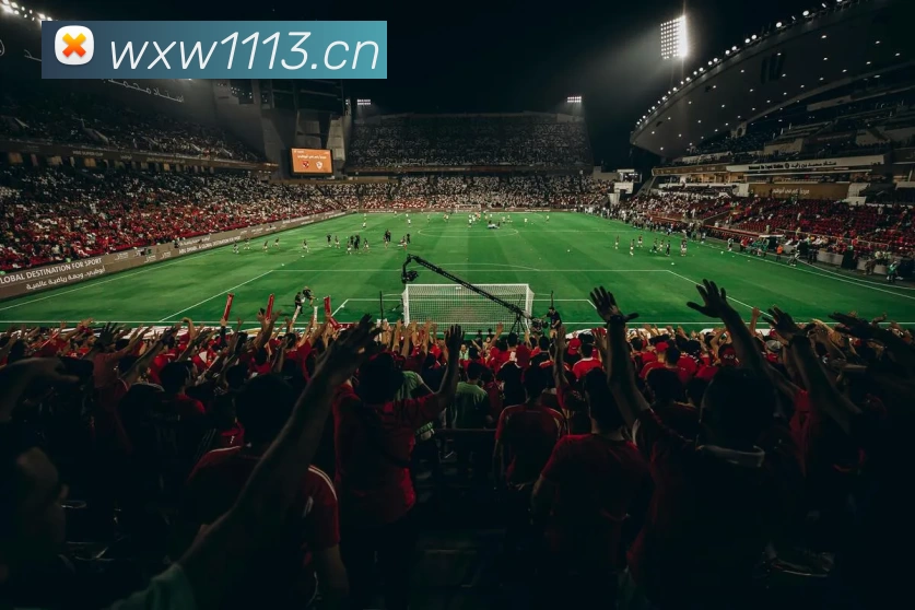 辅助工具 辅助工具